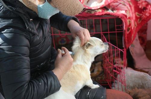 王狗狗家大姐爆料视频,揭秘家庭生活幕后真相 第2张 王狗狗家大姐爆料视频,揭秘家庭生活幕后真相 第2张