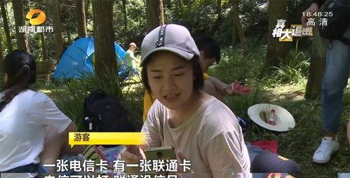 网红乐仔吃瓜视频,揭秘网红圈幕后故事 第3张 网红乐仔吃瓜视频,揭秘网红圈幕后故事 第3张